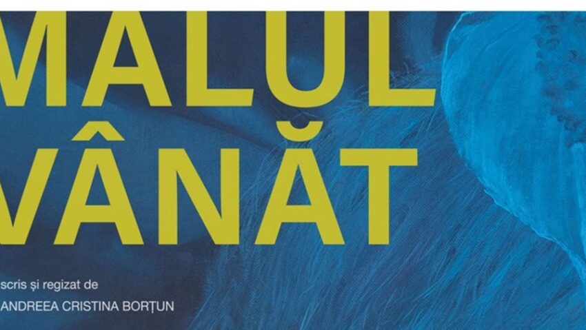 Andreea Borțun: Uneori cred că e important să vezi pe ecran realități la care închizi ochii când mergi cu mașina prin țară