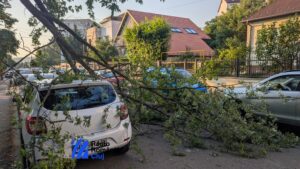 Furtuna a făcut ravagii în Sibiu: copaci căzuți, tencuială desprinsă, subsoluri inundate | VIDEO