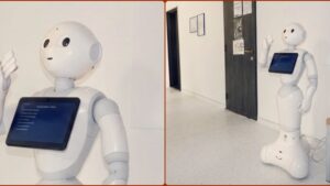 Pepper, robotul care a atras toate privirile