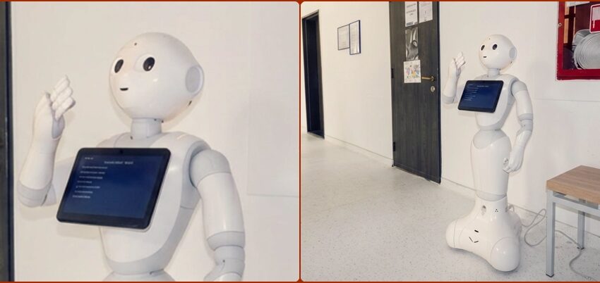 Pepper, robotul care a atras toate privirile
