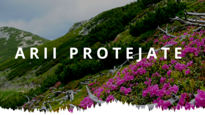 Comisiile parlamentare resping cererea lui Nicușor Dan privind ariile protejate