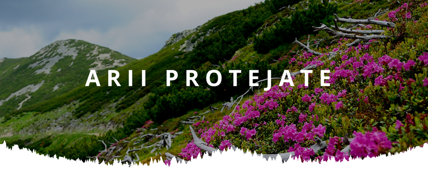 Comisiile parlamentare resping cererea lui Nicușor Dan privind ariile protejate