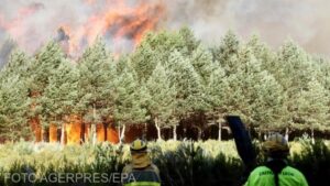 Mai mult de 400 de persoane au fost arestate în legătură cu incendiile de vegetație din Franța