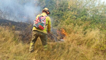 Arde pădurea! Peste 60 de pompieri încearcă să oprească focul