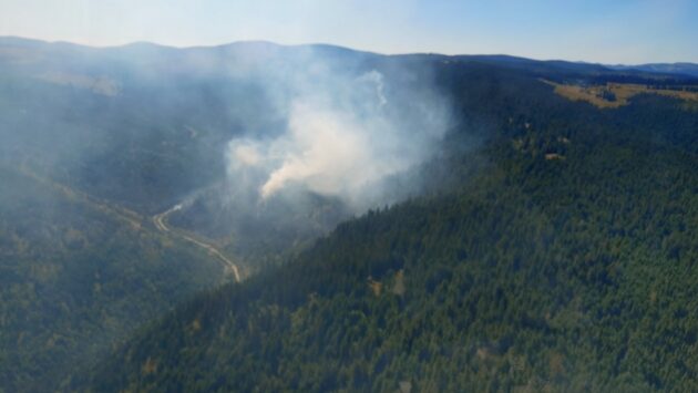 Incendiu în zona Mărișel: intervenție la sol și din aer