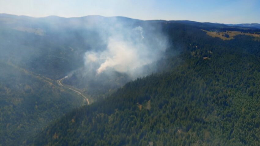 Incendiu în zona Mărișel: intervenție la sol și din aer
