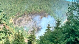UPDATE | Incendiu de vegetație uscată și fond forestier, în zona Crucea Iancului din Mărișel