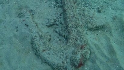 Ancoră antică rară, identificată în Marea Neagră