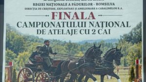 Finala Campionatului Național de Atelaje cu 2 Cai!