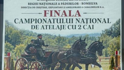 Finala Campionatului Național de Atelaje cu 2 Cai!