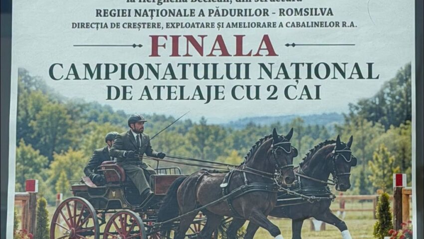 Finala Campionatului Național de Atelaje cu 2 Cai!