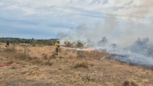 Incendiu de amploare: 25 de hectare, cuprinse de flăcări!