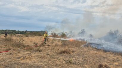 Incendiu de amploare: 25 de hectare, cuprinse de flăcări!