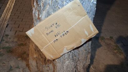Protest pașnic: ecologiștii îi cer primarului să oprească tăierea arborilor maturi