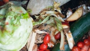 Milioane de tone de alimente, aruncate anual în România