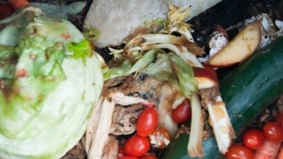 Milioane de tone de alimente, aruncate anual în România