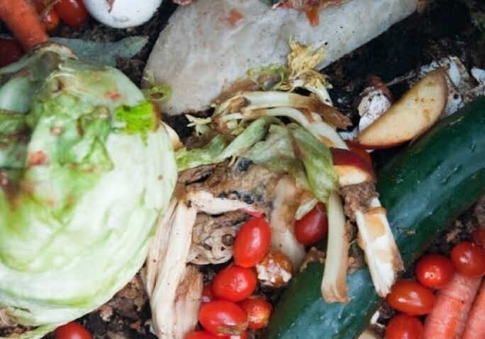Milioane de tone de alimente, aruncate anual în România