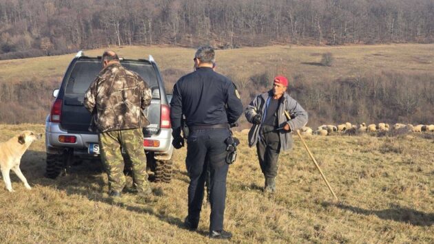 Zeci de mii de animale „fantomă”, descoperite în urma controalelor DSVSA