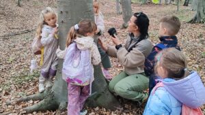 De la proiect școlar, la dar pentru oraș: Poteca Tematică Elf din Făget | FOTO